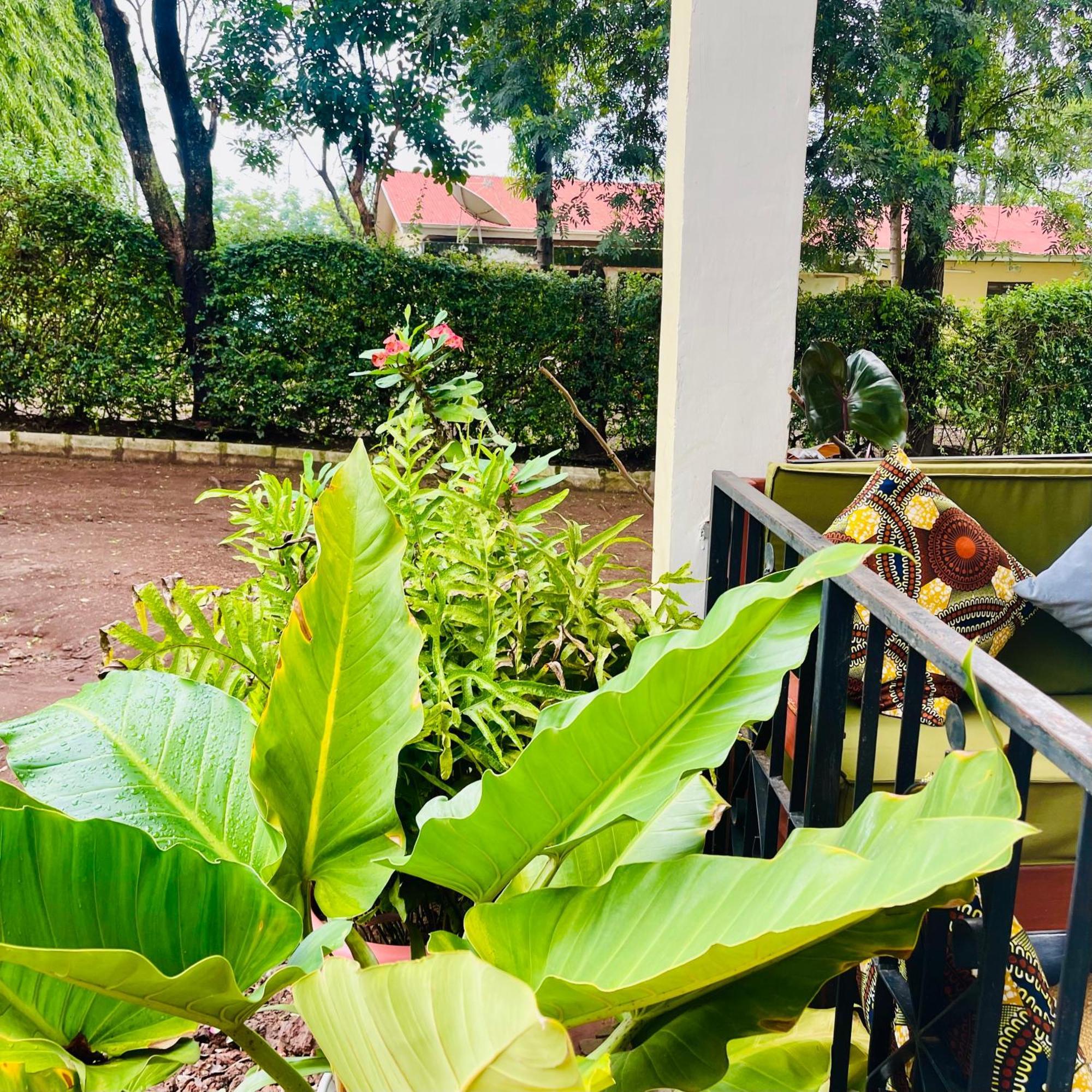 Sophie Homestay Moshi Bagian luar foto